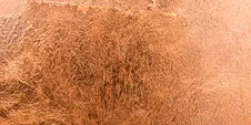 Copper Leafing